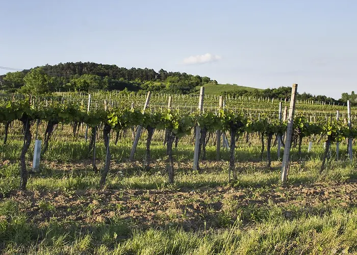 Gastwirtschaft & Holzinger Hotel 3*